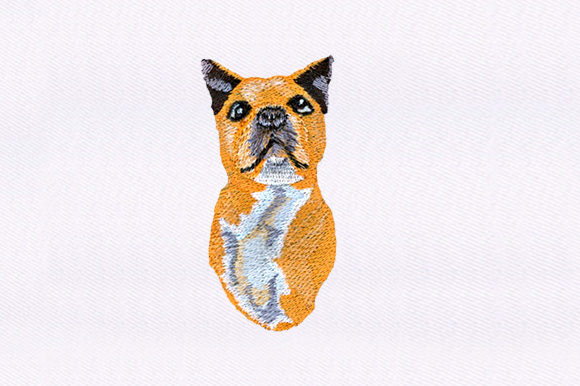 Smug Dog Design Review for Personalized Gifts